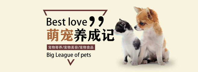 天赐的声音最强角色排行
